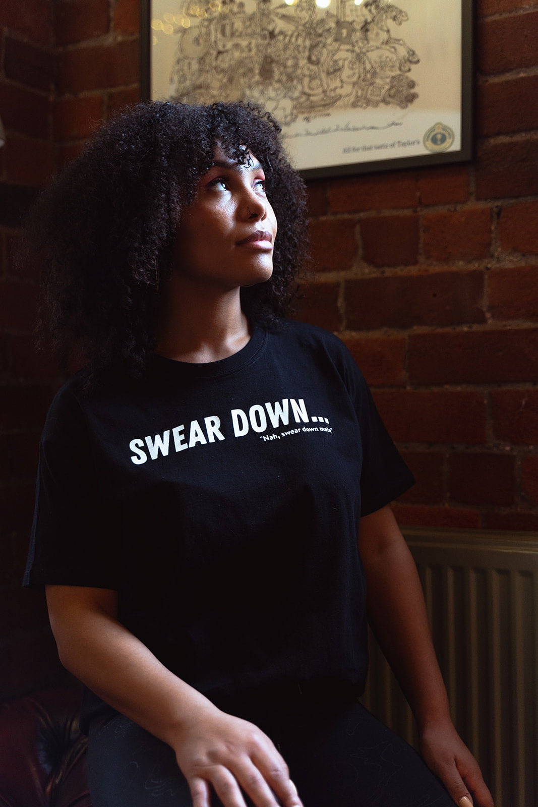 Proper Northern T-Shirts (Various) - Northern Power Garms