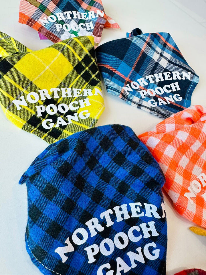 Northern Pooch Gang Dog Bandana