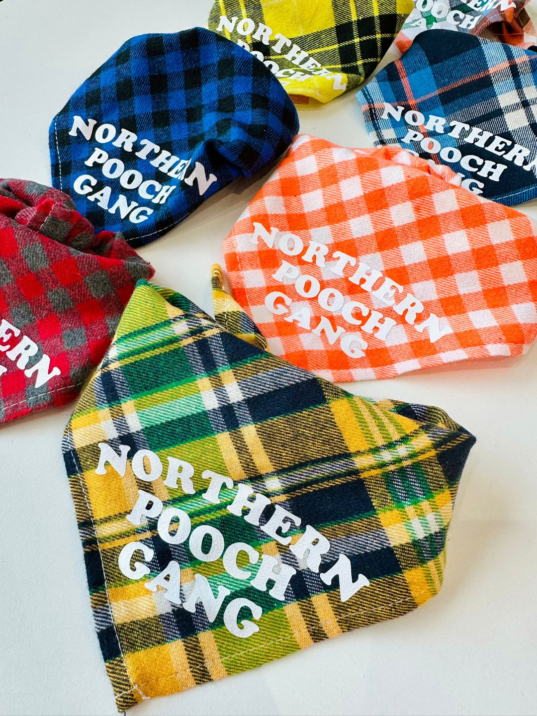 Northern Pooch Gang Dog Bandana