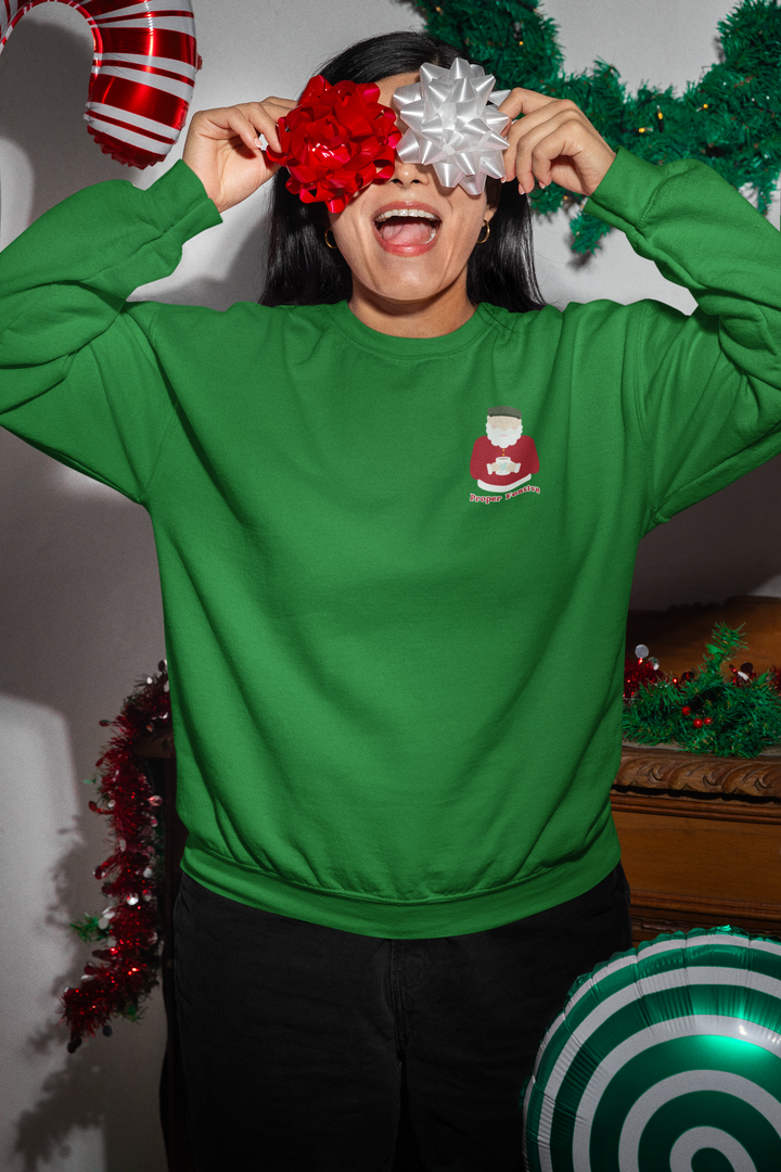 Northern Santa Christmas Jumper
