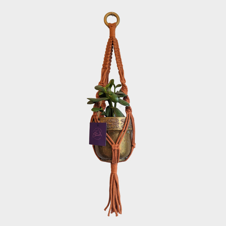 Make Your Own Macramé Plant Hanger Kit