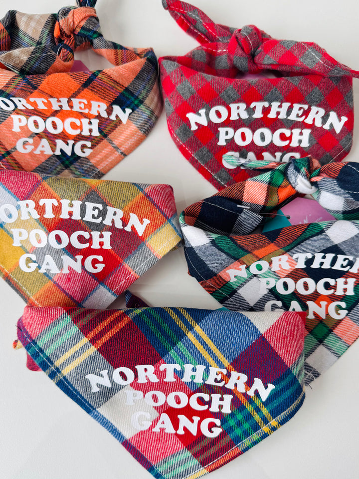 Northern Pooch Gang Dog Bandana
