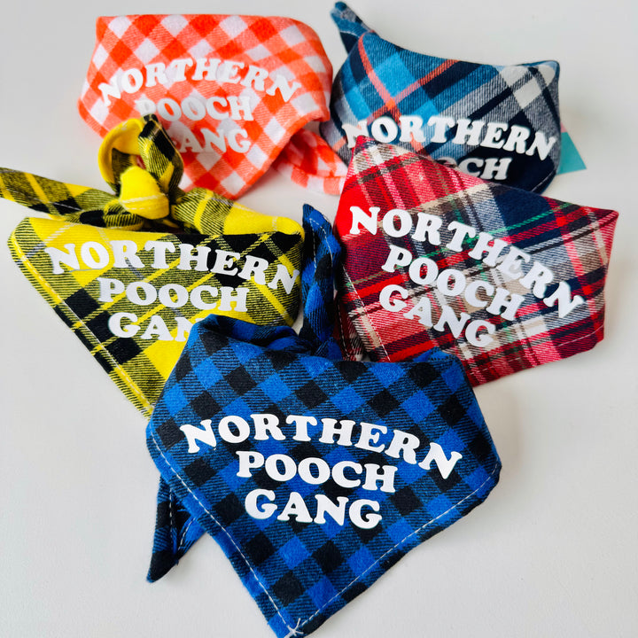 Northern Pooch Gang Dog Bandana