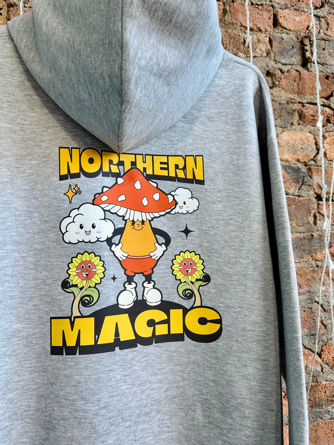 Northern Magic Hoodie